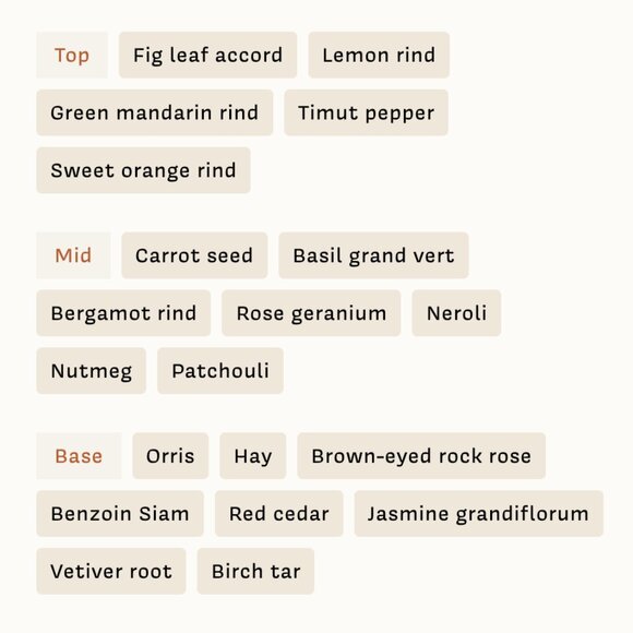 Ffern Autumn '23 Eau de Parfum - Picture 2 of 2